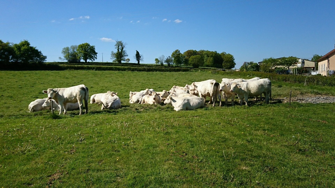 Photo of Others in Cressy-sur-Somme
