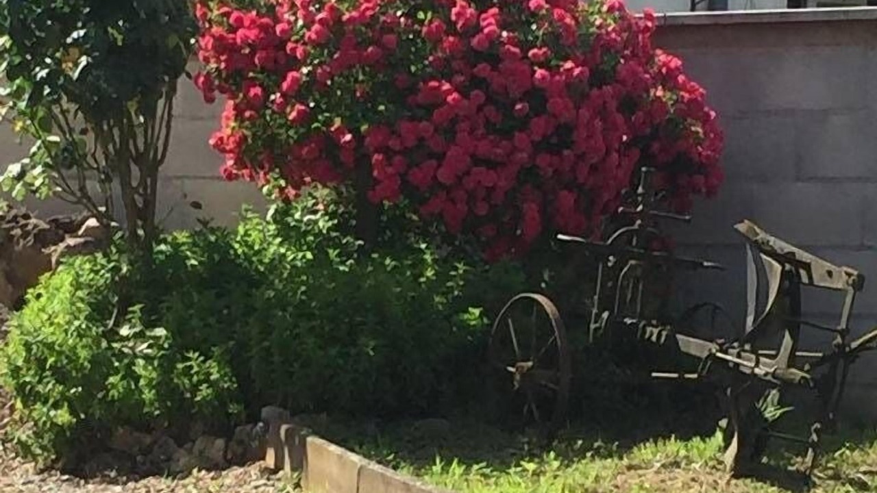 Photo of Outdoor in Villers-sur-Port