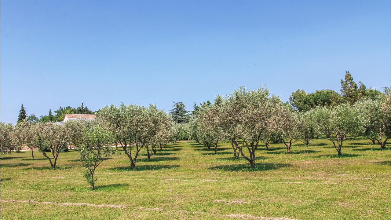 Photo of Outdoor in Montelimar