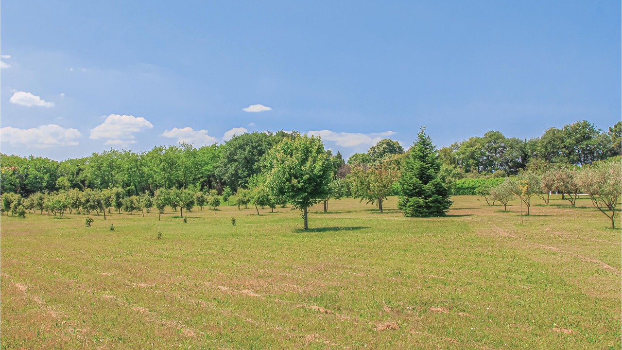 Photo of Others in Montelimar
