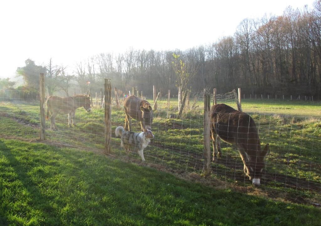 Photo of Outdoor in La Resie-Saint-Martin