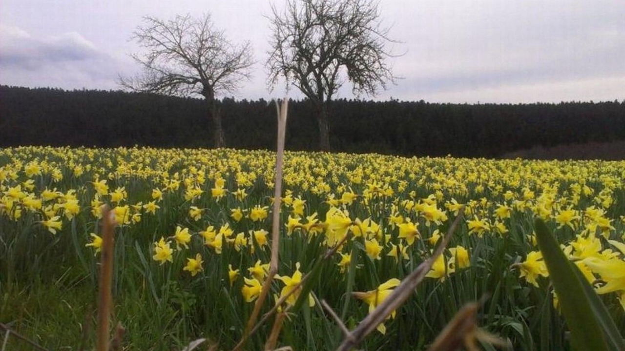 Photo of Outdoor in Bertignat