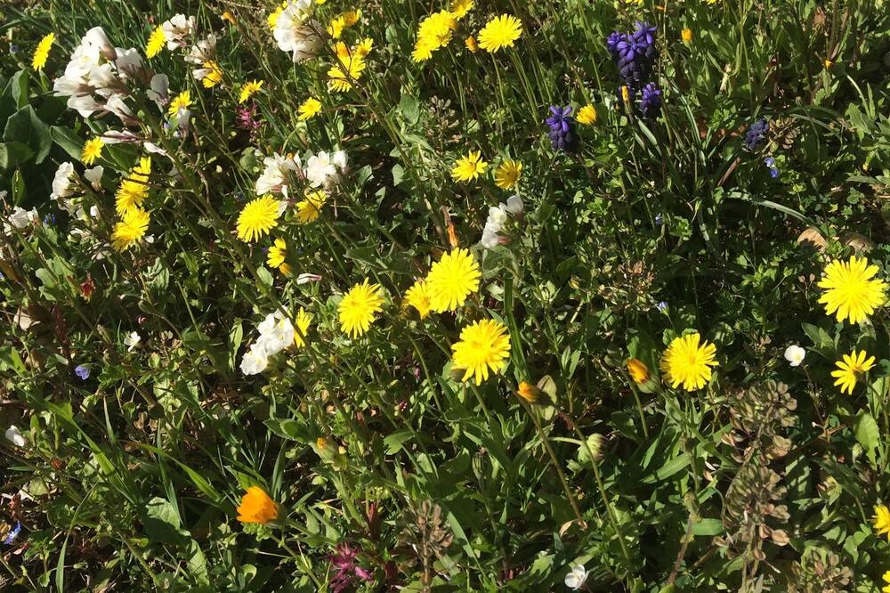 Photo of Outdoor in Visan