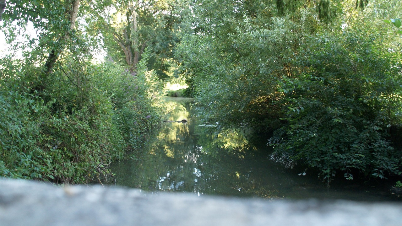 Photo of Outdoor in Lalheue