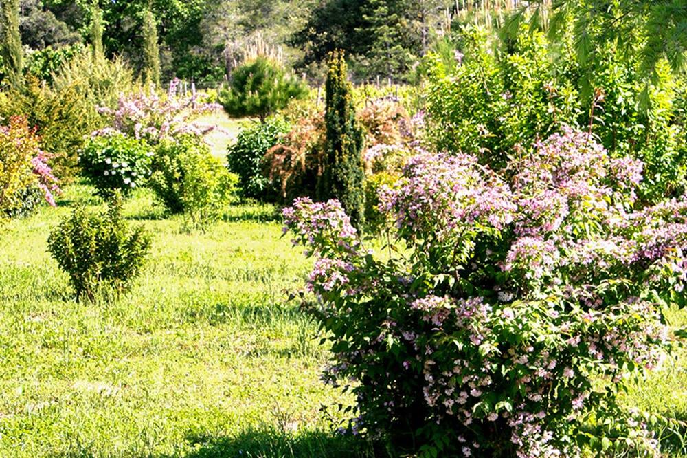 Photo of Outdoor in Mormoiron