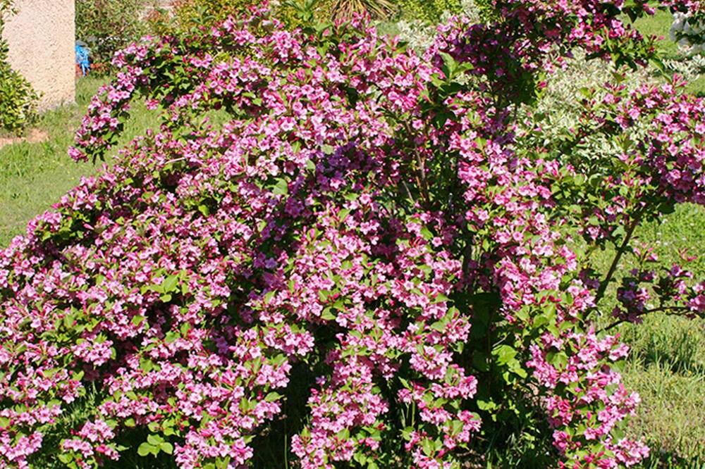 Photo of Outdoor in Mormoiron