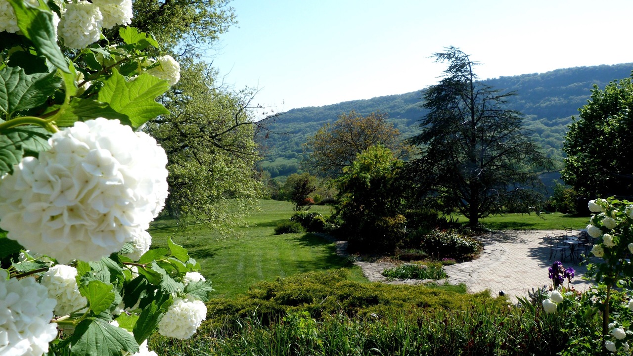 Photo of Outdoor in Saint-Pons
