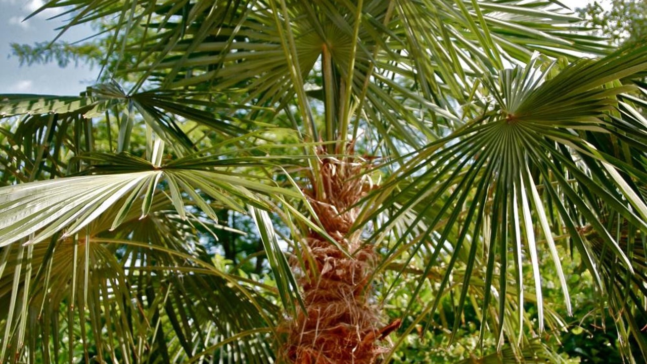 Photo of Outdoor in Saint-Jean-Baptiste