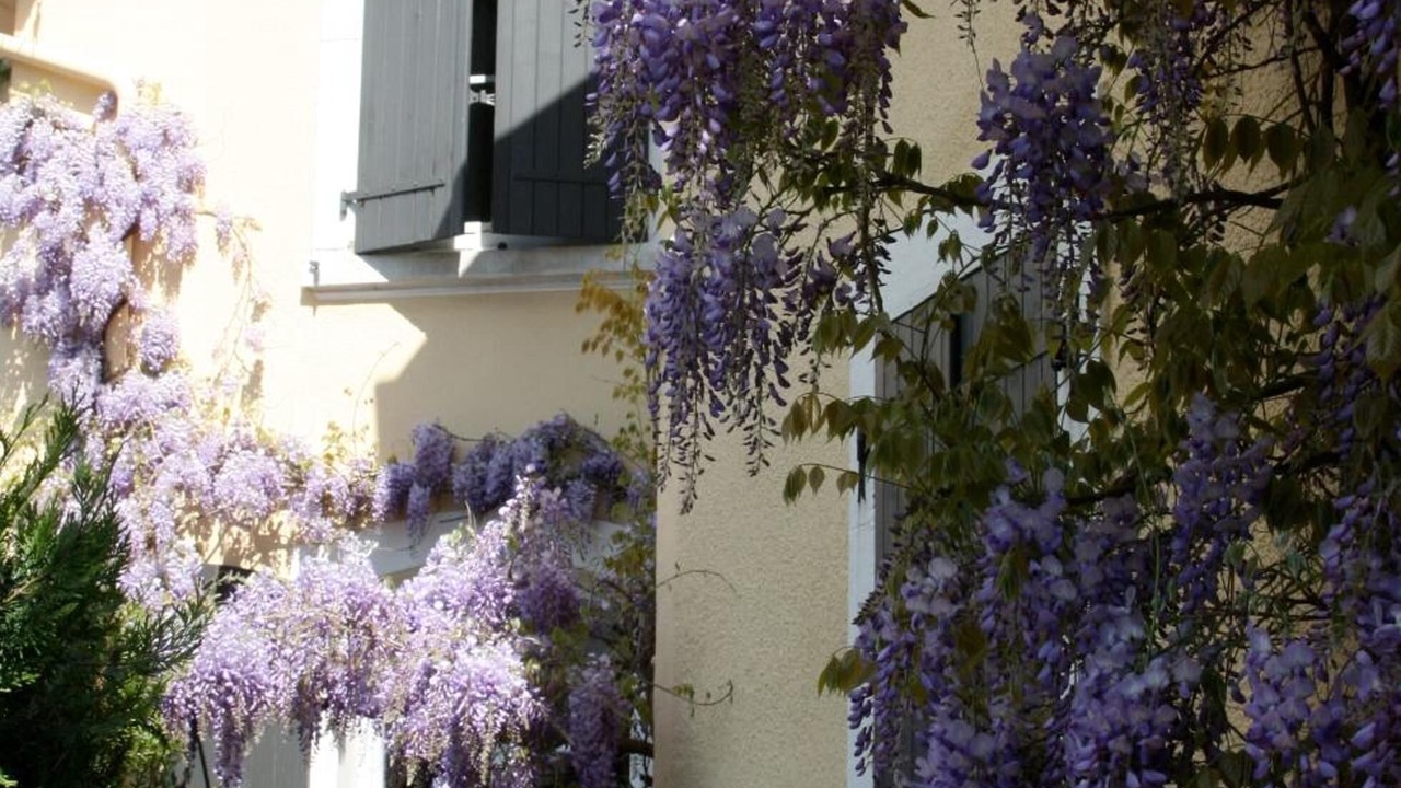 Photo of Outdoor in Saint-Jean-Baptiste