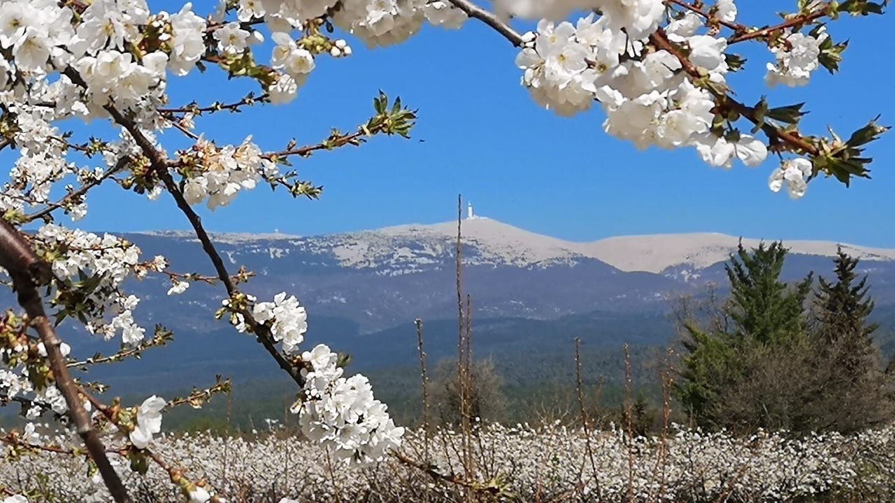 Photo of Outdoor in Mormoiron