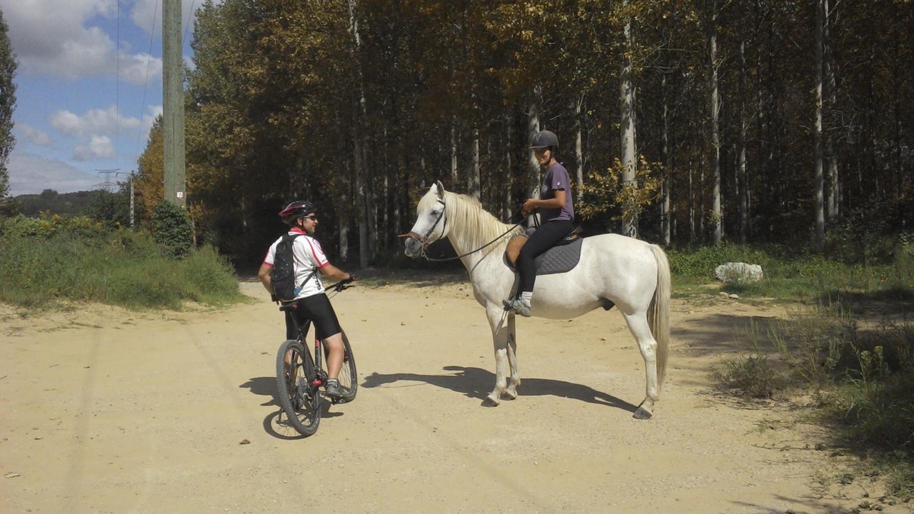 Photo of Others in La Motte-de-Galaure