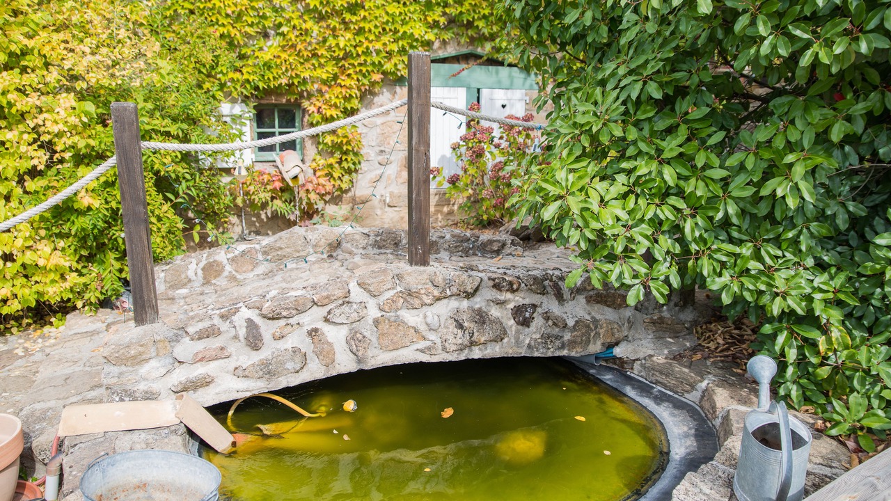 Photo of Outdoor in Boffres