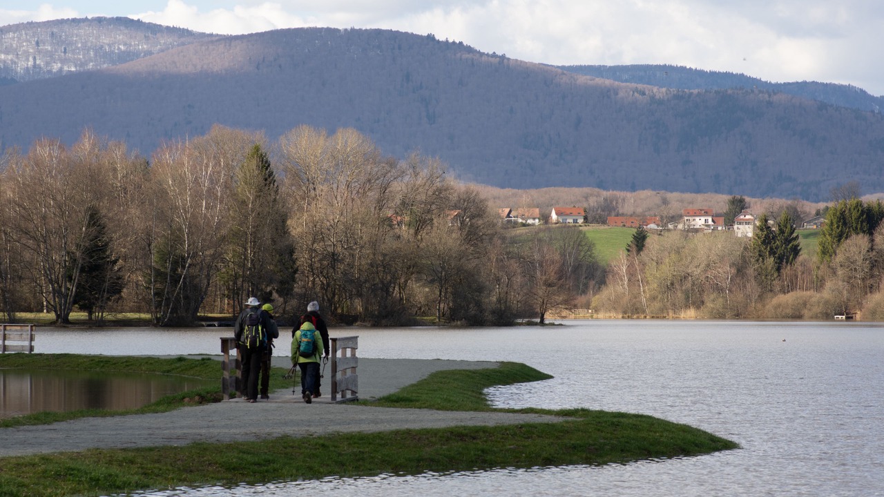 Photo of Others in Essert