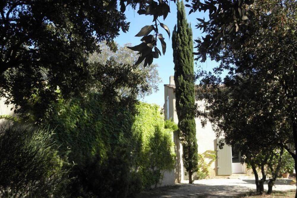 Photo of Outdoor in Puget