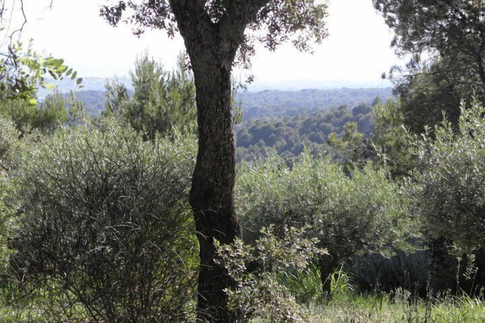 Photo of Outdoor in Puget