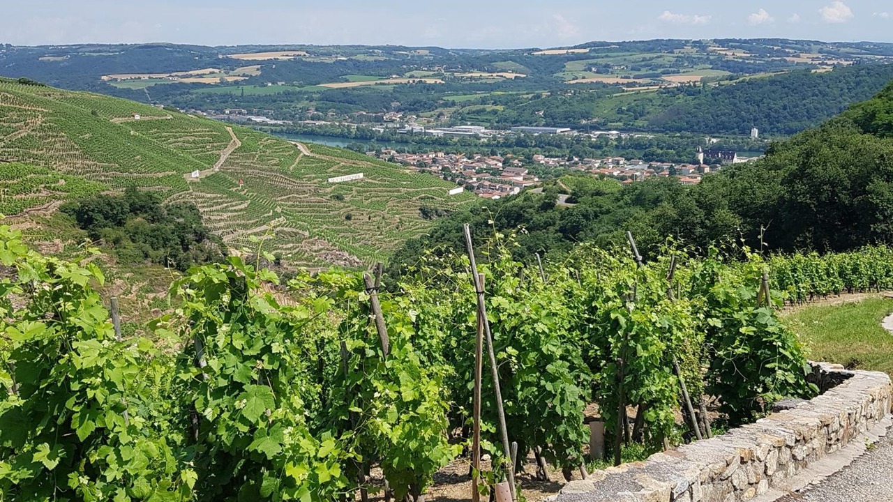 Photo of Outdoor in Ampuis