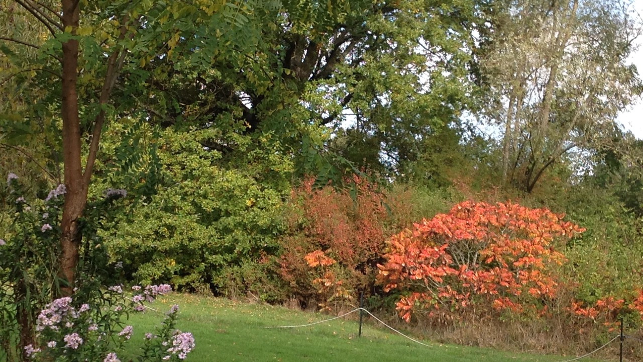 Photo of Outdoor in Treban