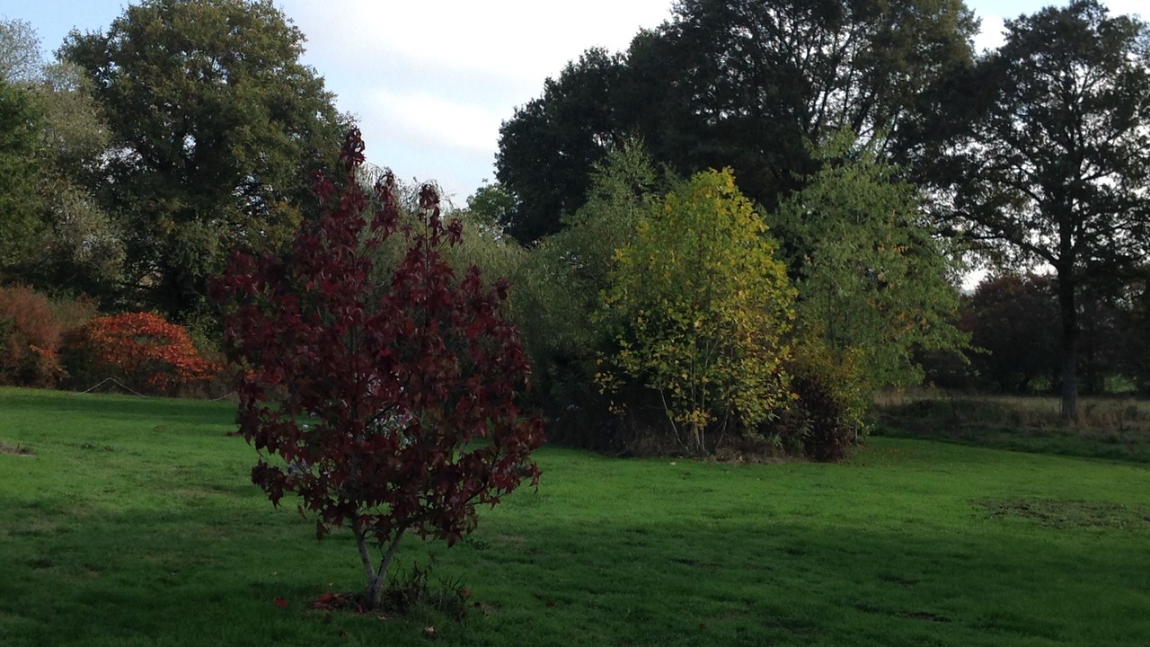Photo of Outdoor in Treban