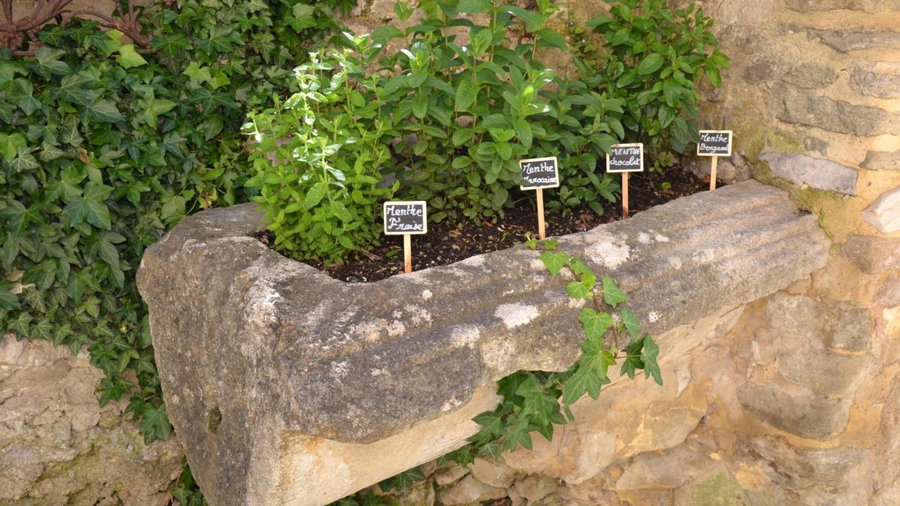 Photo of Outdoor in Vaison-la-Romaine