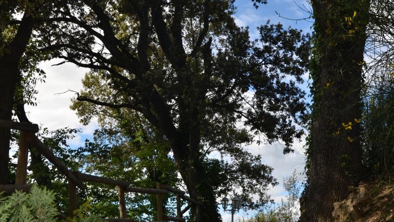 Photo of Outdoor in Vaison-la-Romaine