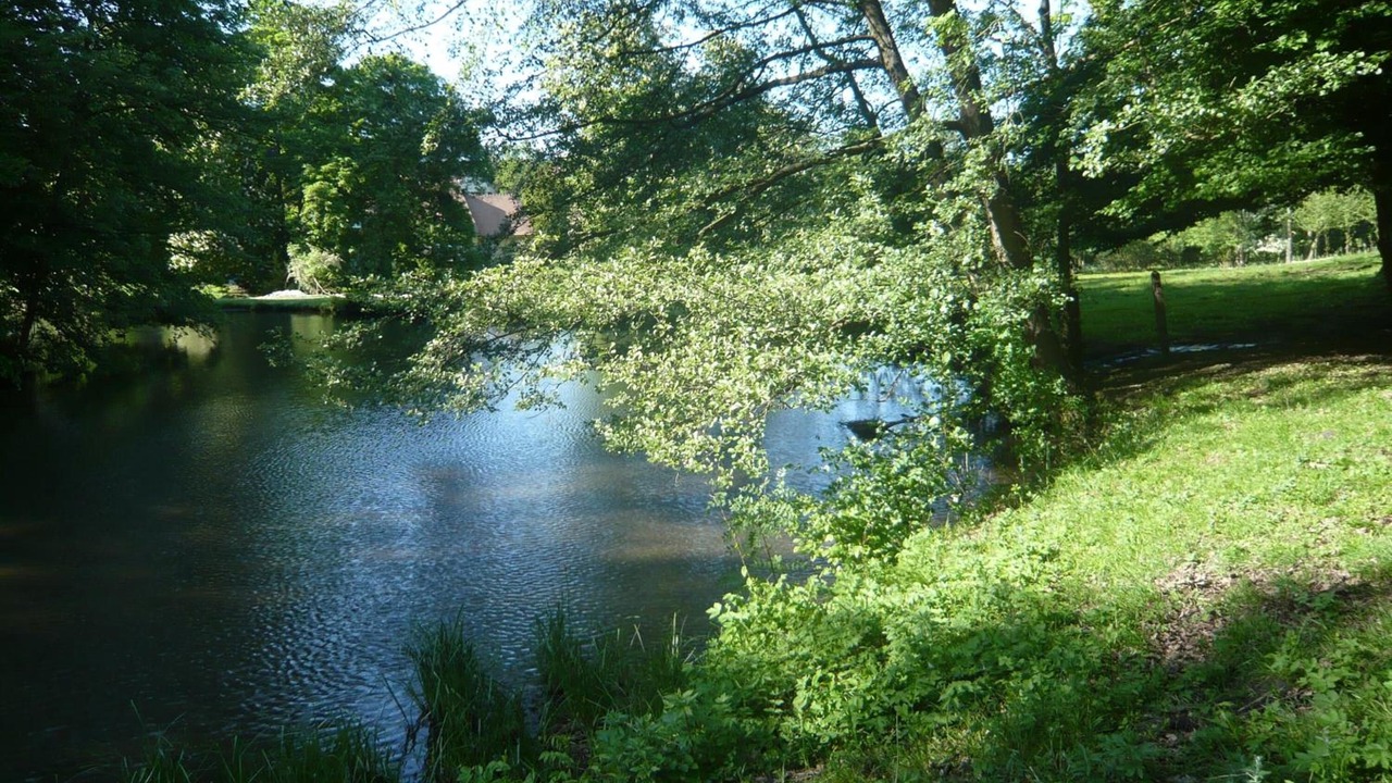 Photo of Outdoor in Bures-sur-Yvette