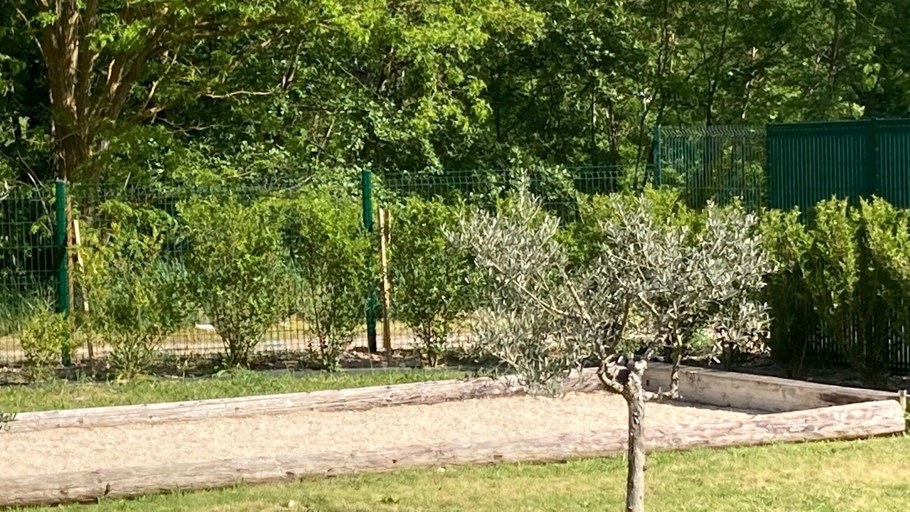 Photo of Outdoor in Mormoiron