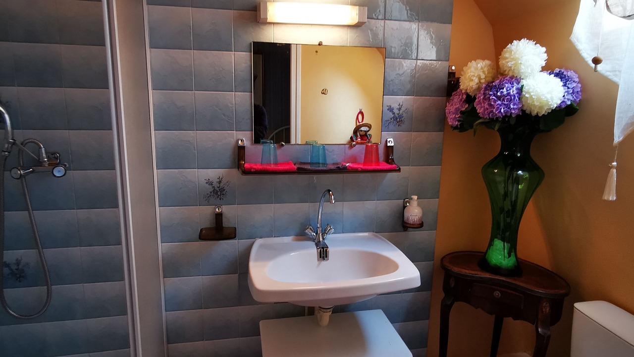 Photo of Bathroom in Saint-Martin-sous-Vigouroux
