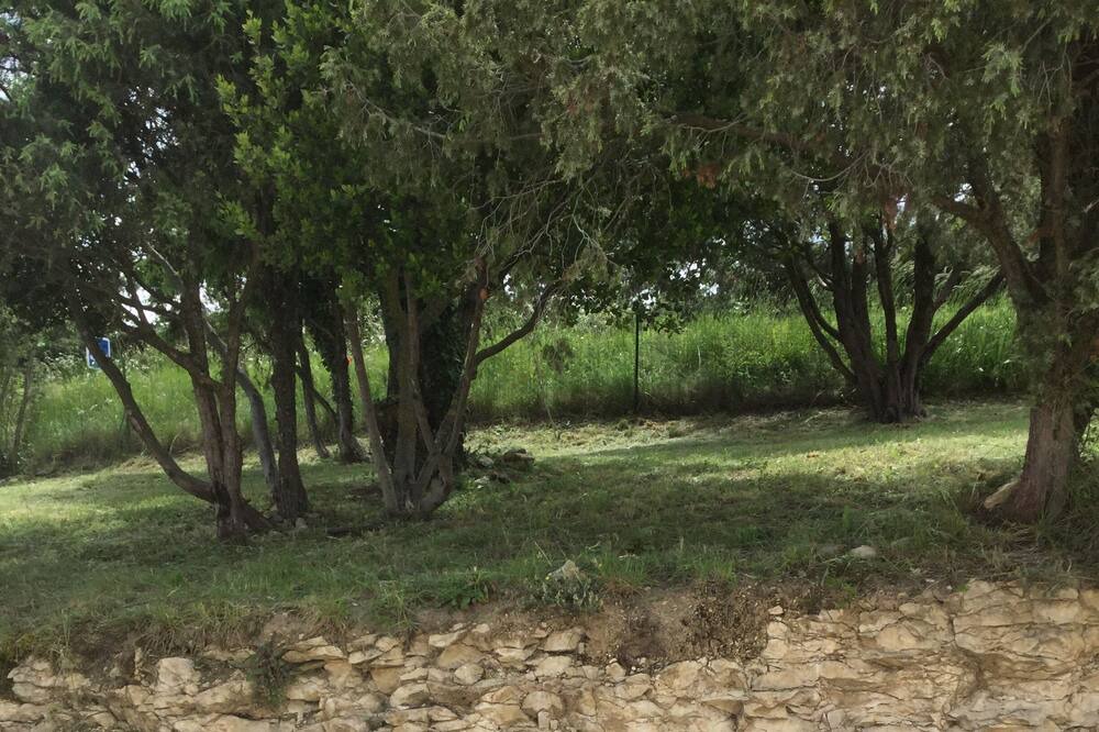 Photo of Outdoor in Saint-Marcel-d'Aredeche