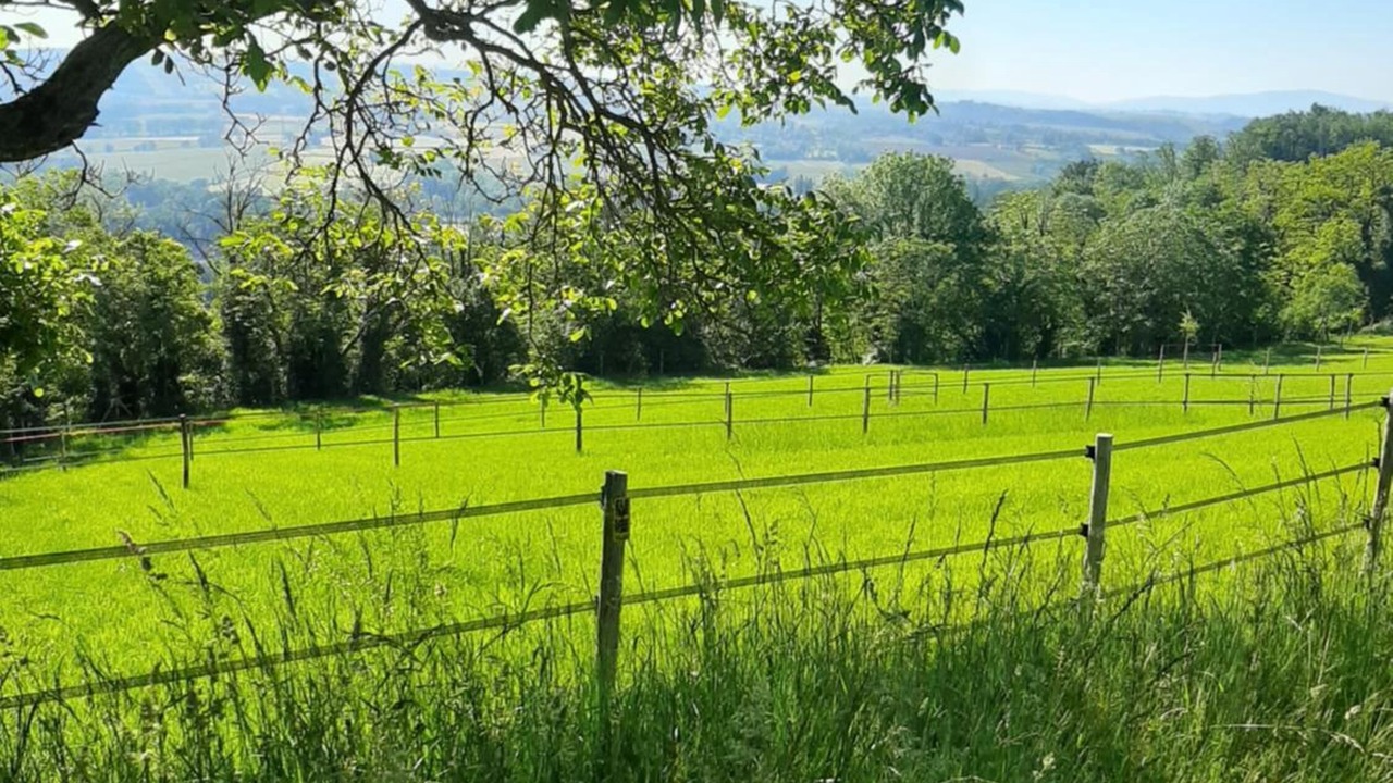 Photo of Outdoor in Creuzier-le-Neuf