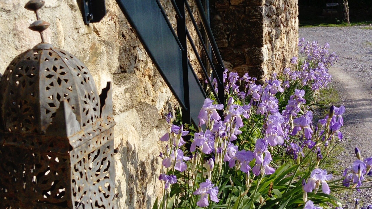 Photo of Buildings in Chirols