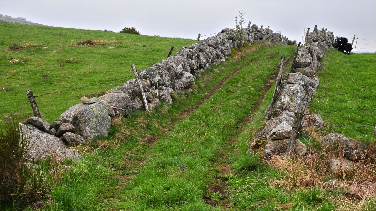 Photo of Outdoor in Saint-Urcize