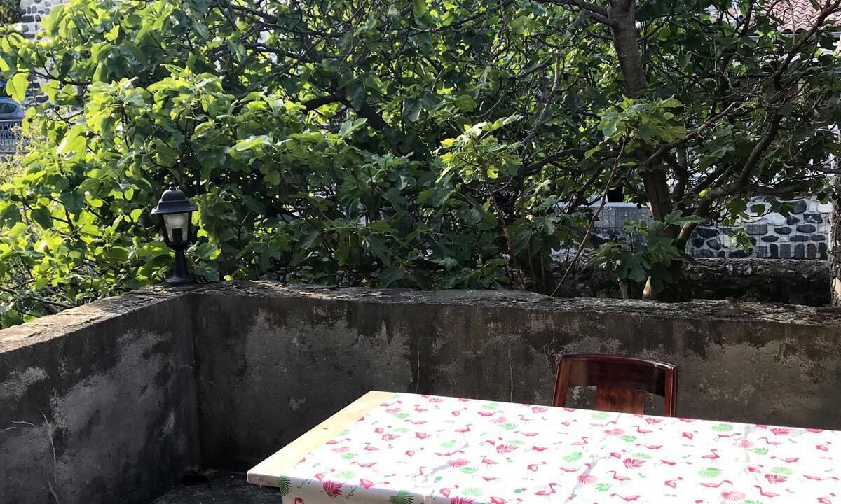Photo of Outdoor in Saint-Pons