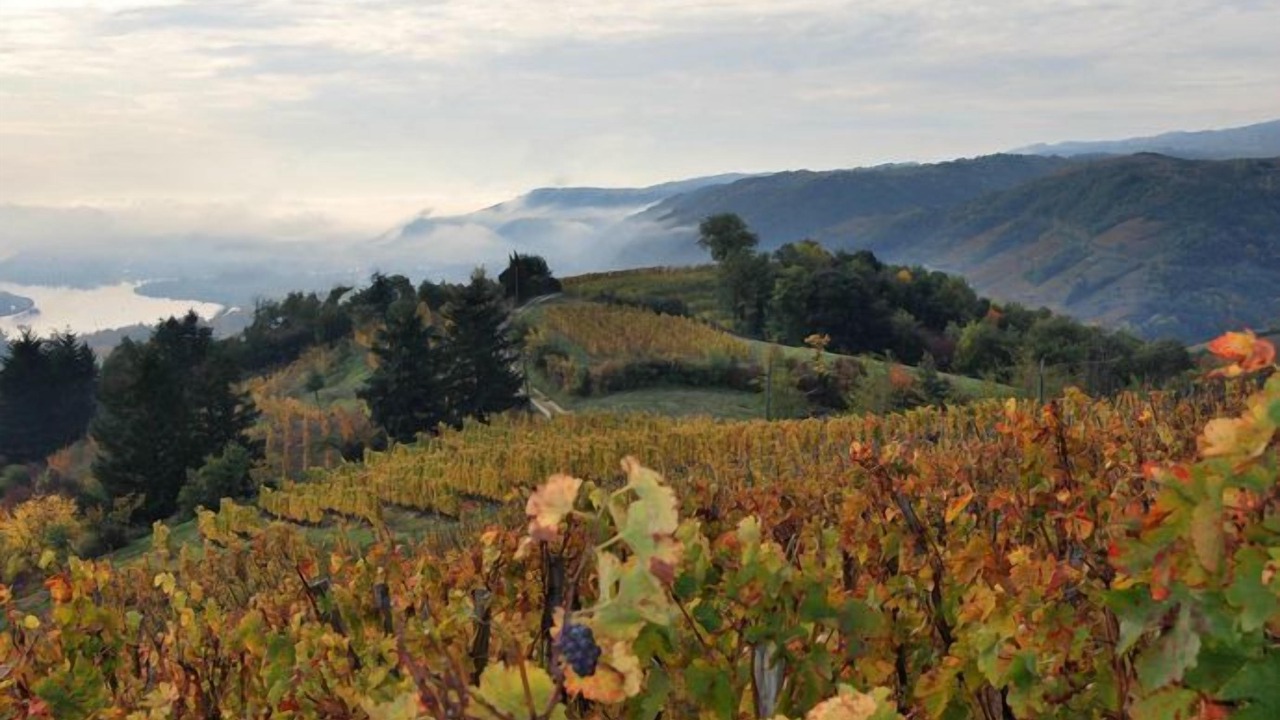 Photo of Outdoor in Vernosc-les-Annonay