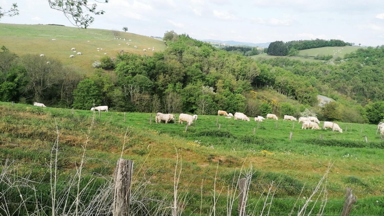Photo of Outdoor in Regny
