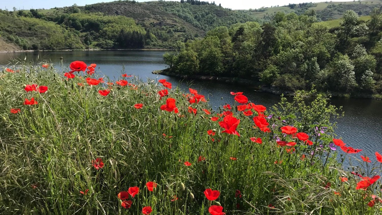Photo of Outdoor in Regny
