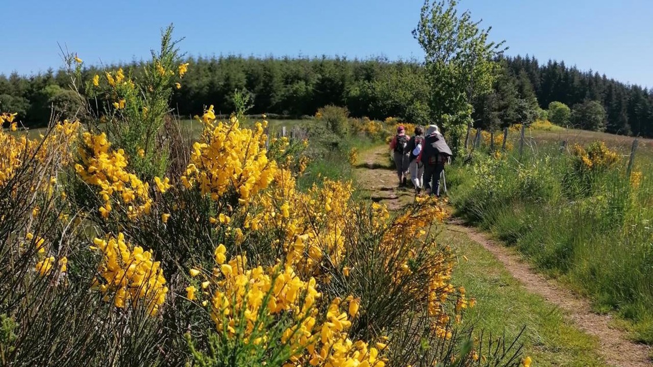 Photo of Outdoor in Regny
