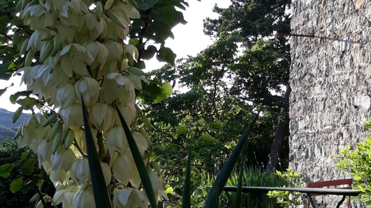 Photo of Outdoor in Lagorce