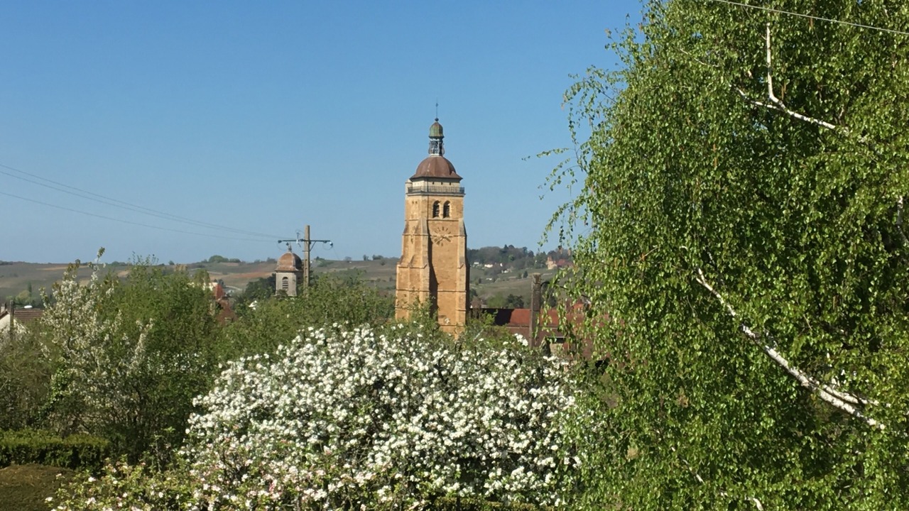 Photo of Outdoor in Arbois