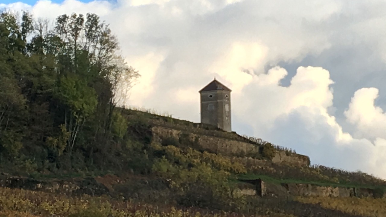 Photo of Outdoor in Arbois