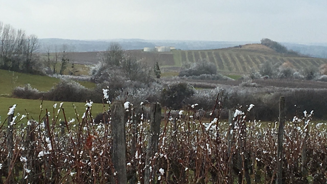 Photo of Outdoor in Arbois