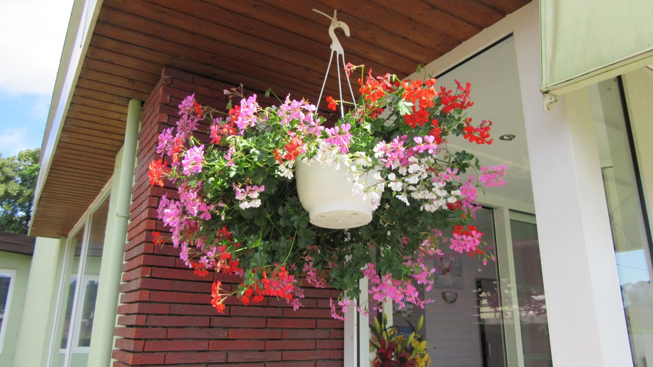 Photo of Outdoor in Ronchamp