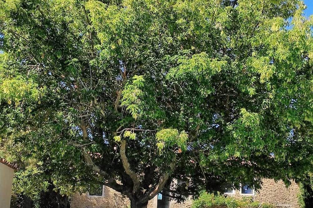 Photo of Outdoor in Faucon