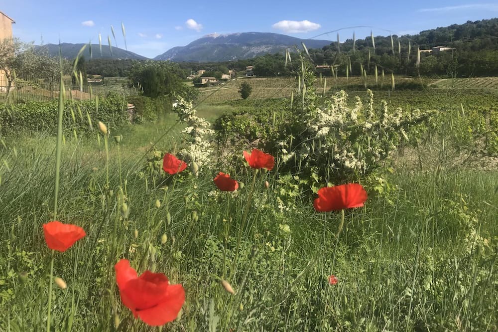 Photo of Outdoor in Faucon