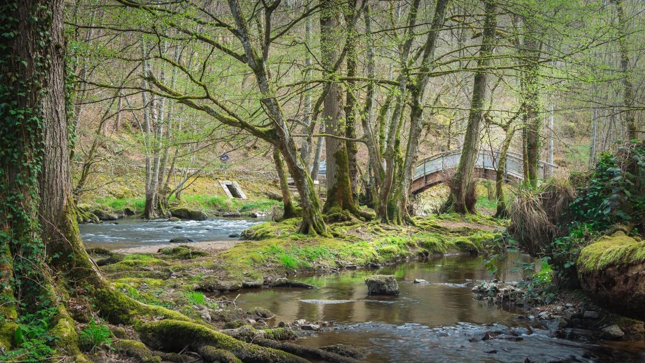 Photo of Outdoor in Avallon