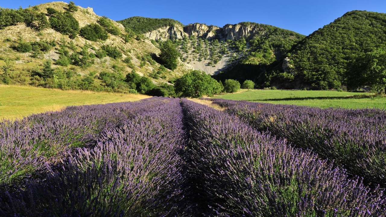 Photo of Outdoor in Montbrun-les-Bains