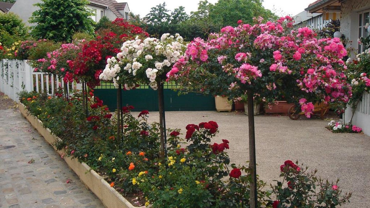 Photo of Outdoor in Rungis