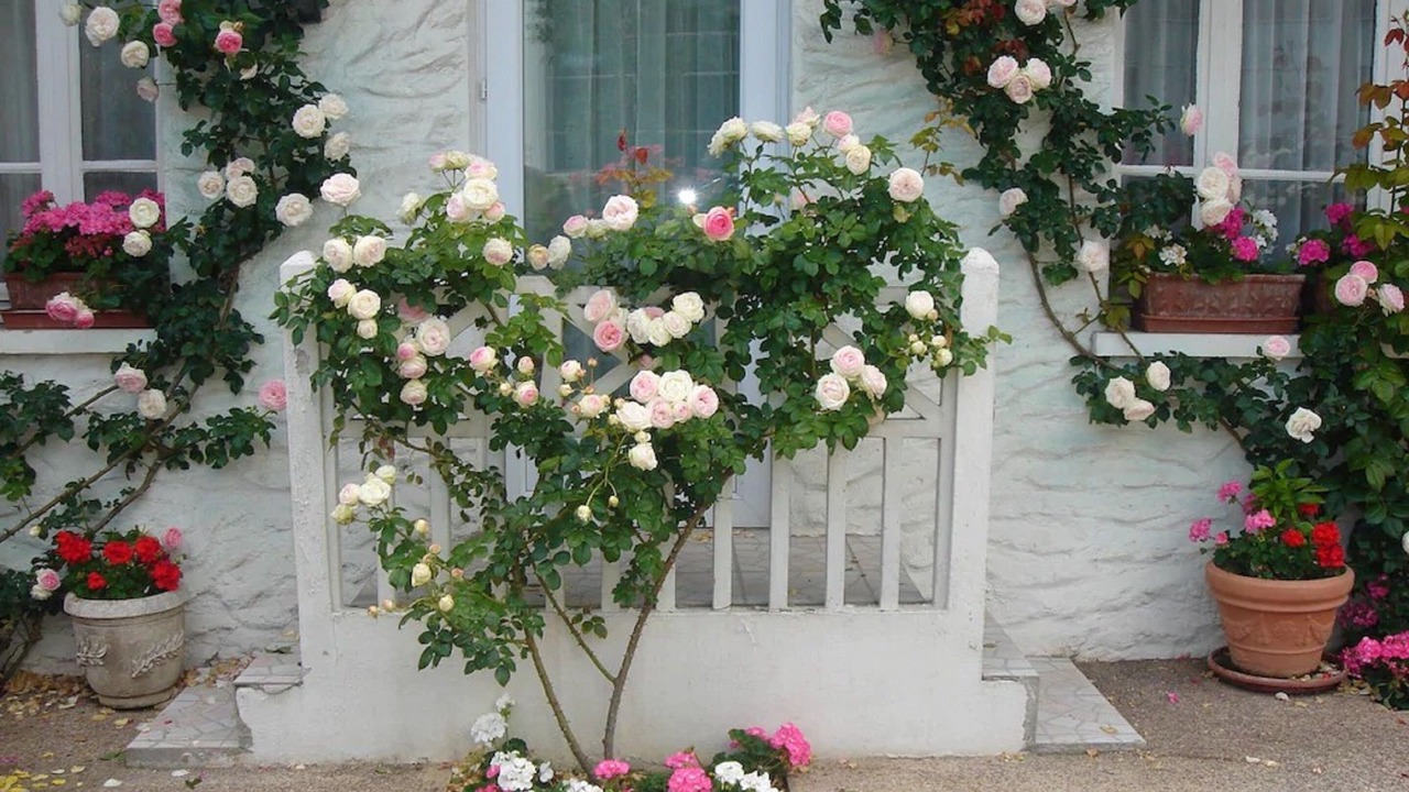 Photo of Outdoor in Rungis