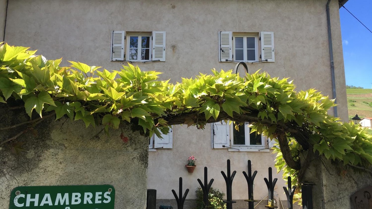 Photo of Outdoor in Vaux-en-Beaujolais