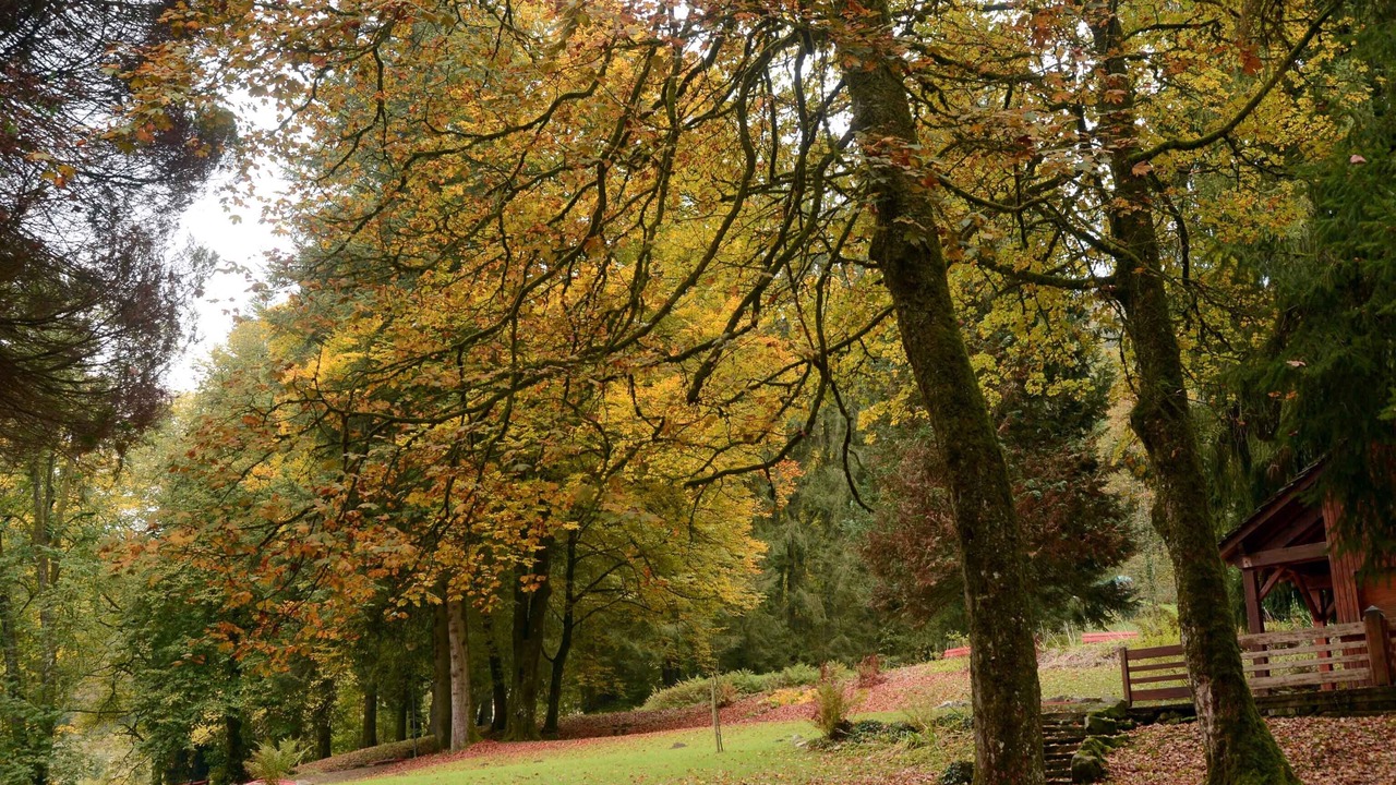 Photo of Outdoor in Plombieres-les-Bains