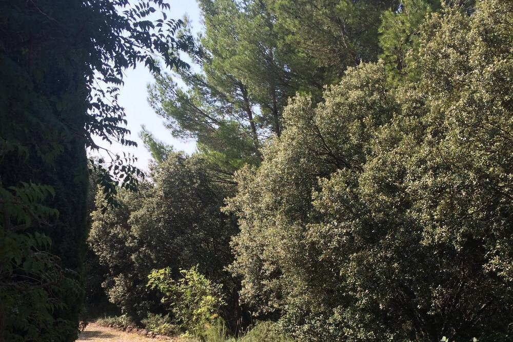 Photo of Outdoor in Le Barroux